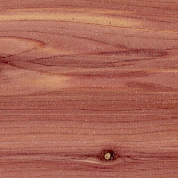 Eastern Aromatic Cedar